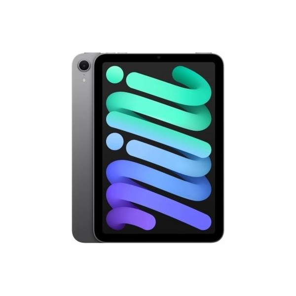 Apple iPad mini Wi-Fi 256GB Space Gray