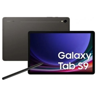 Samsung Tablet Galaxy Tab S9 X716 5G 11 inches 12/256 GB grey