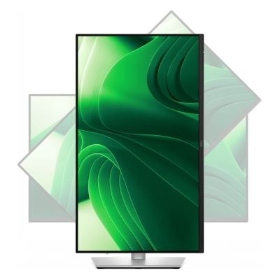 Dell 24 PRO P2425 QHD 100HZ IPS BLACK 16:9 HAS PIVOT USBC-15W