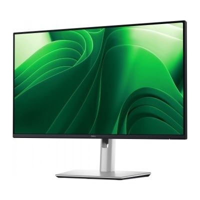 Dell 24 PRO P2425 QHD 100HZ IPS BLACK 16:9 HAS PIVOT USBC-15W