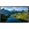 Samsung 55" OH55A  FHD 3500 NITS 24/7 OUTDOOR HIGH BRIGHTNESS.