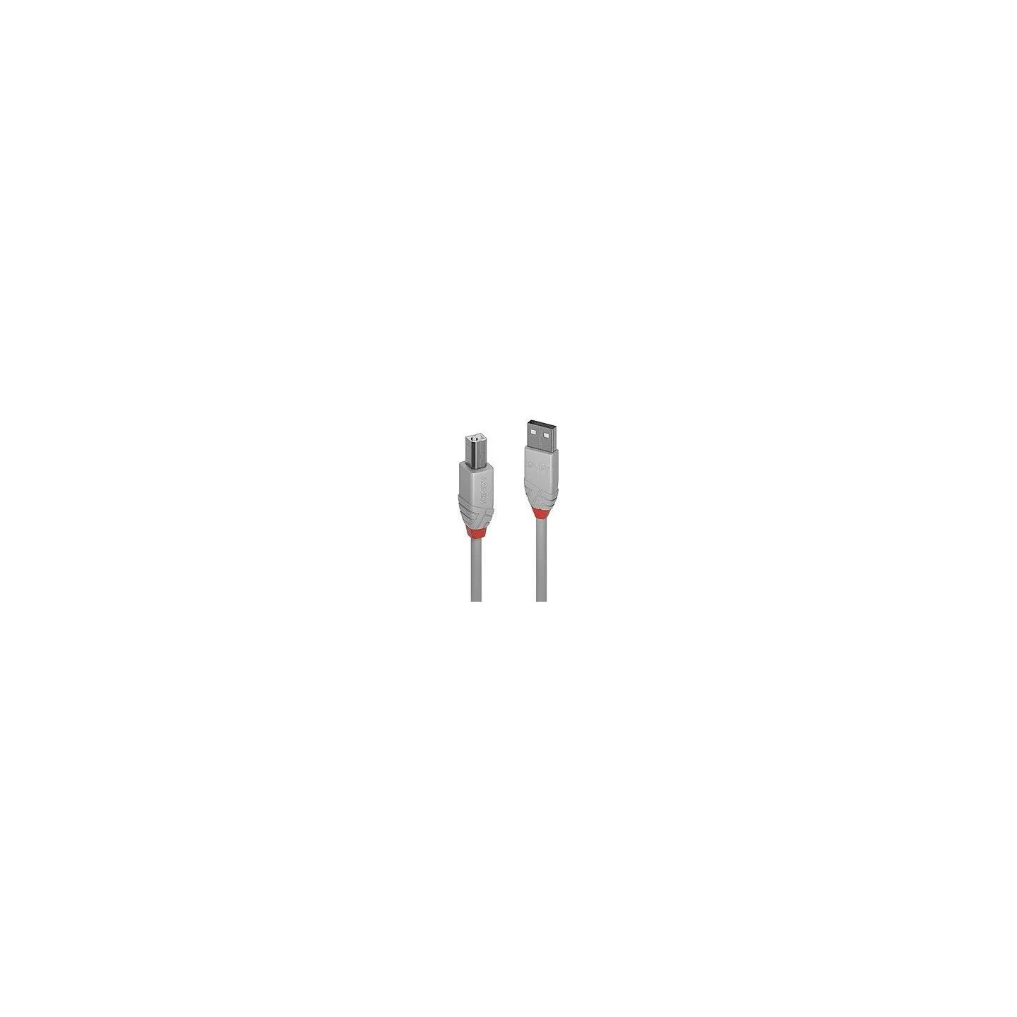 Lindy CABLE USB2 A-B 2M/ANTHRA GREY36683 LINDY