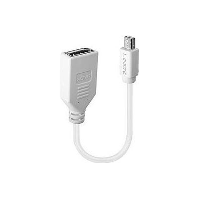 Lindy ADAPTER MINI DP TO DP/0.2M 41021 LINDY