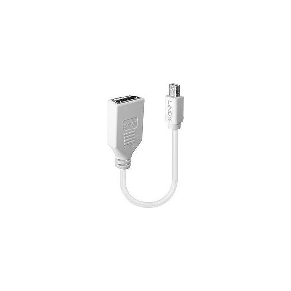 Lindy ADAPTER MINI DP TO DP/0.2M 41021 LINDY
