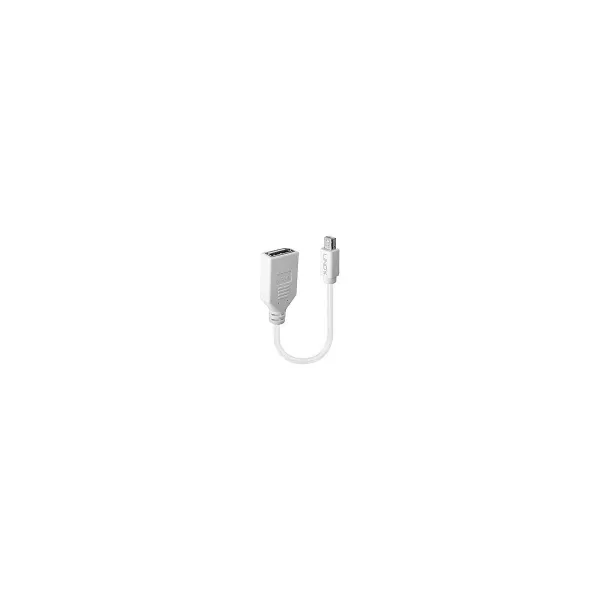 Lindy ADAPTER MINI DP TO DP/0.2M 41021 LINDY