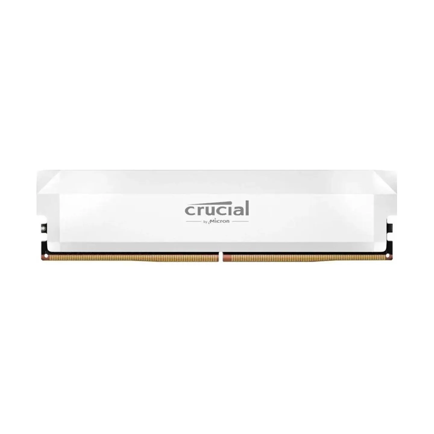 Crucial MEMORY DIMM 16GB DDR5-6400/CP16G64C32U5W CRUCIAL