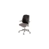 Fellowes CHAIR MESH BACK SUPPORT/9191301 FELLOWES