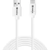 Sandberg 336-14 USB-C to USB-A 2.0 2M Saver