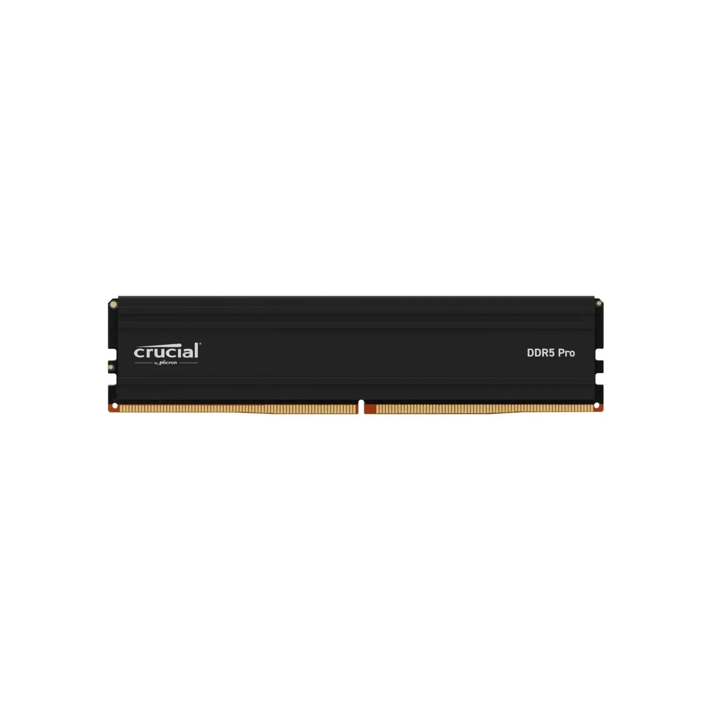 Crucial MEMORY DIMM PRO 48GB DDR5-5600/CP48G56C46U5T CRUCIAL