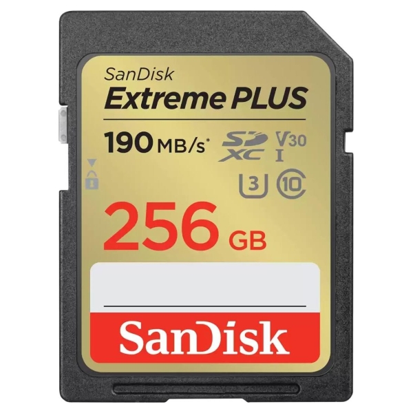 Sandisk MEMORY SDXC 256GB UHS-1/SDSDXWV-256G-GNCIN SANDISK