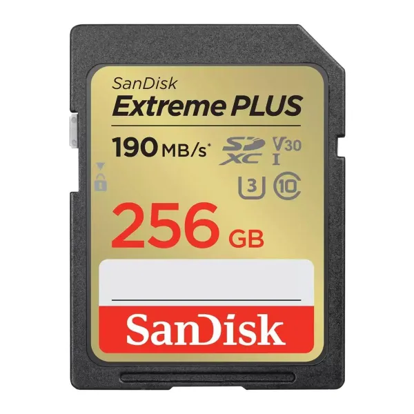 Sandisk MEMORY SDXC 256GB UHS-1/SDSDXWV-256G-GNCIN SANDISK