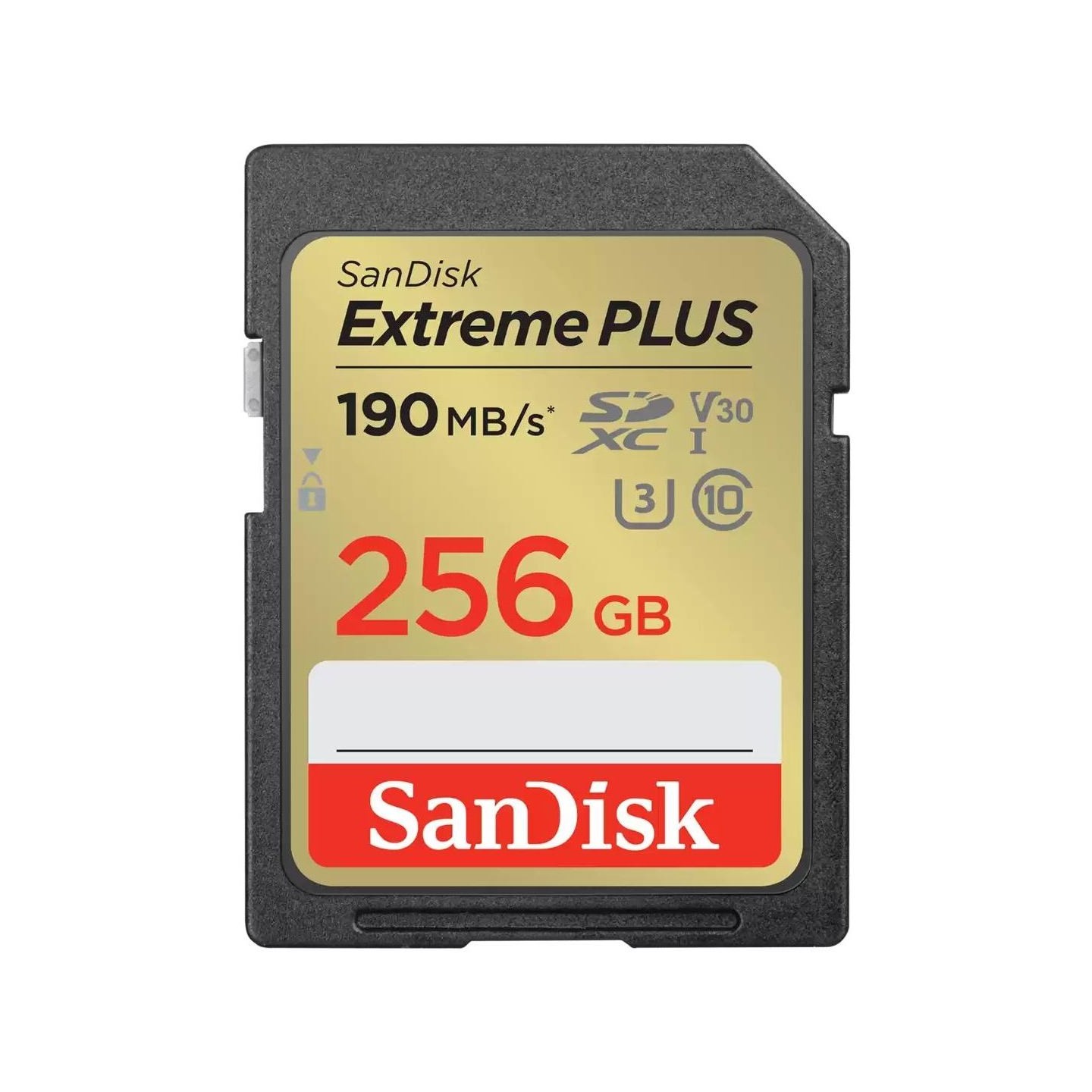 Sandisk MEMORY SDXC 256GB UHS-1/SDSDXWV-256G-GNCIN SANDISK