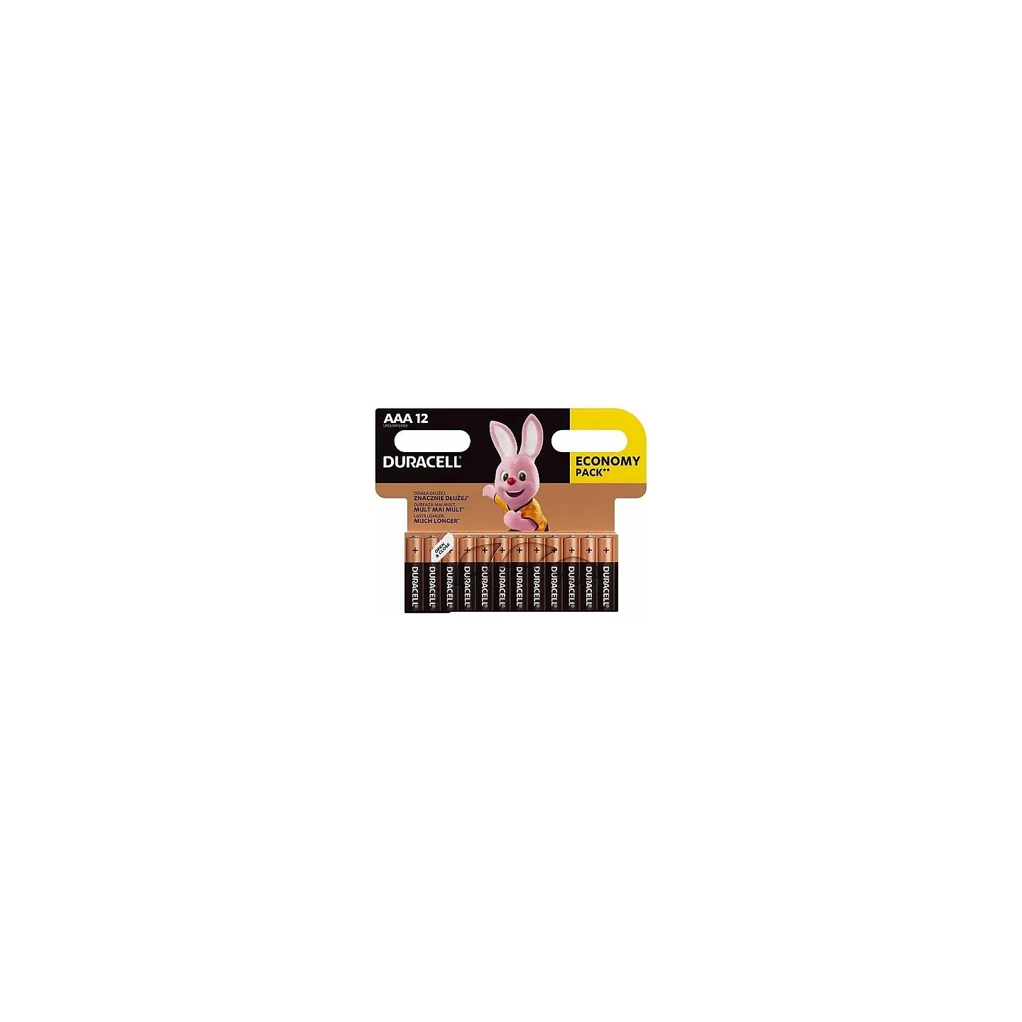 Duracell | Basic MN2400 BL12 | AAA