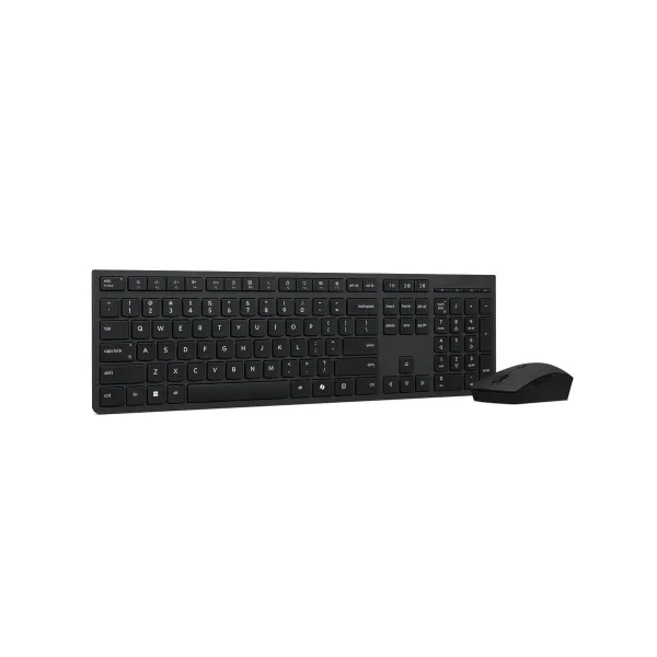 Lenovo Prof Wrlss Rech Kbd and Mouse