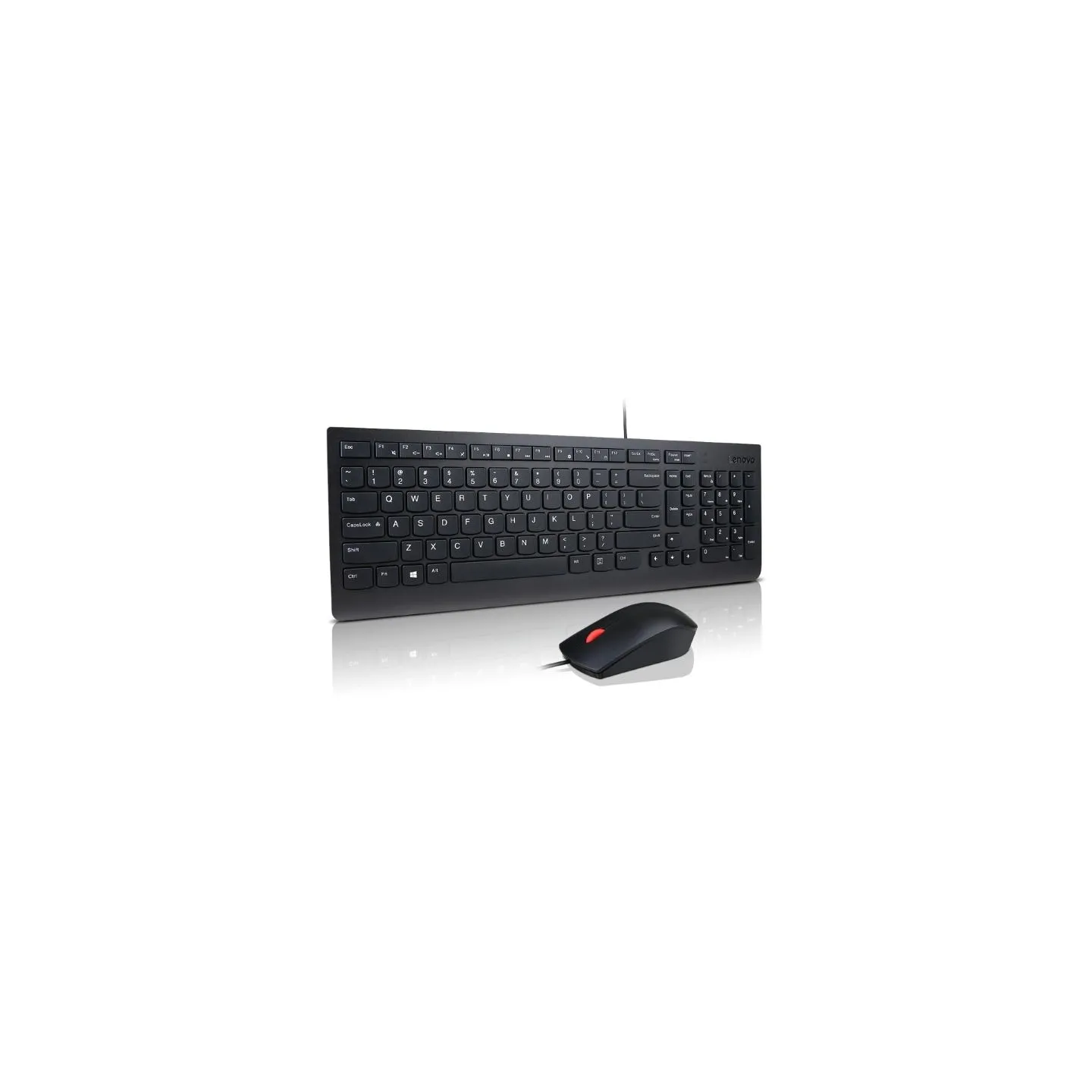 Lenovo ESSENTIAL WIRED KEYBOARD & MOUSE US EURO (COPILOT)
