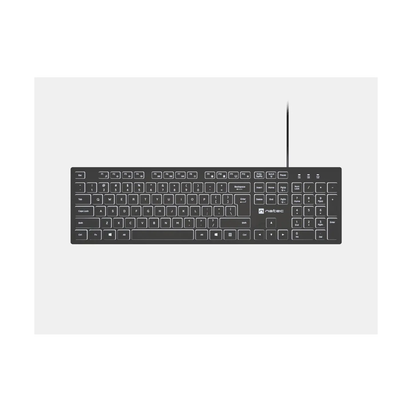 Natec | Herring Glow | Keyboard | Wired | US | Black