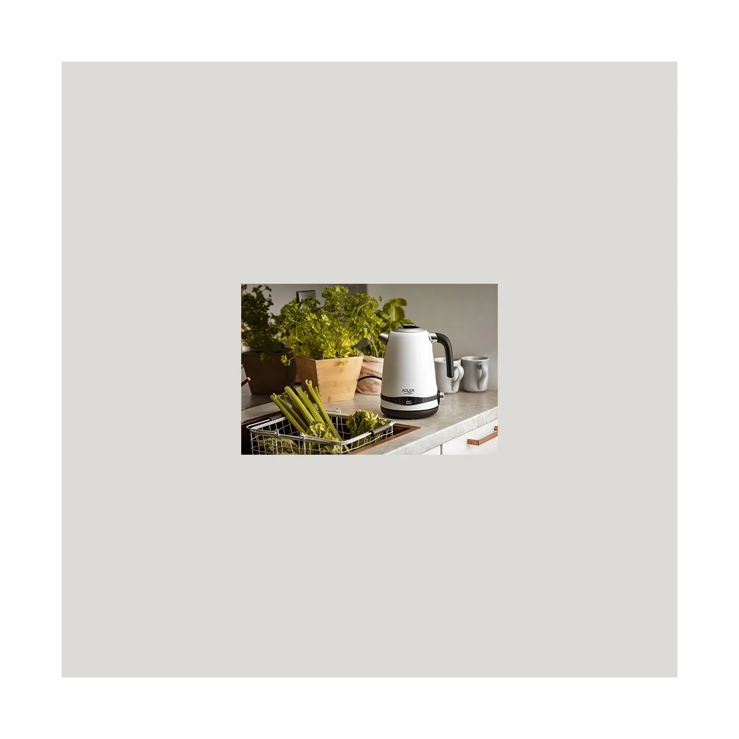 Adler | Kettle | AD 1295w | Electric | 2200 W | 1.7 L | Stainless steel | 360° rotational base | White