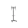 Gembird TV SET ACC FLOOR STAND 32-55"/TVS-55T-03 GEMBIRD