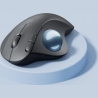 Logitech Bolt Ergo M575 Mouse Graphite / 910-006221