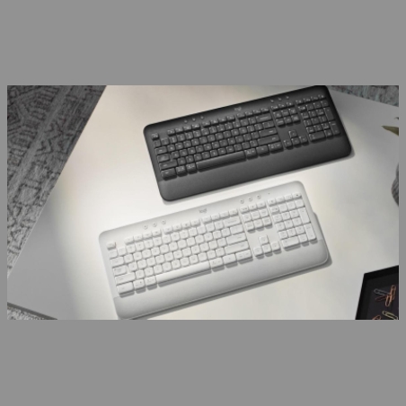 Logitech LOGI SIGNATURE K650 - GRAPHITE (US)
