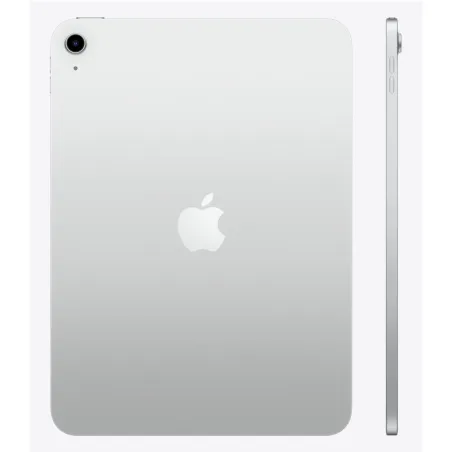 Apple IPAD WIFI 256GB SLV