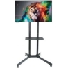 ART STO S-08A Board on wheels+Holder