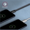 Axagon Data and charging USB 3.2 Gen 1 cable lengh 1 m. 3A. Black braided.