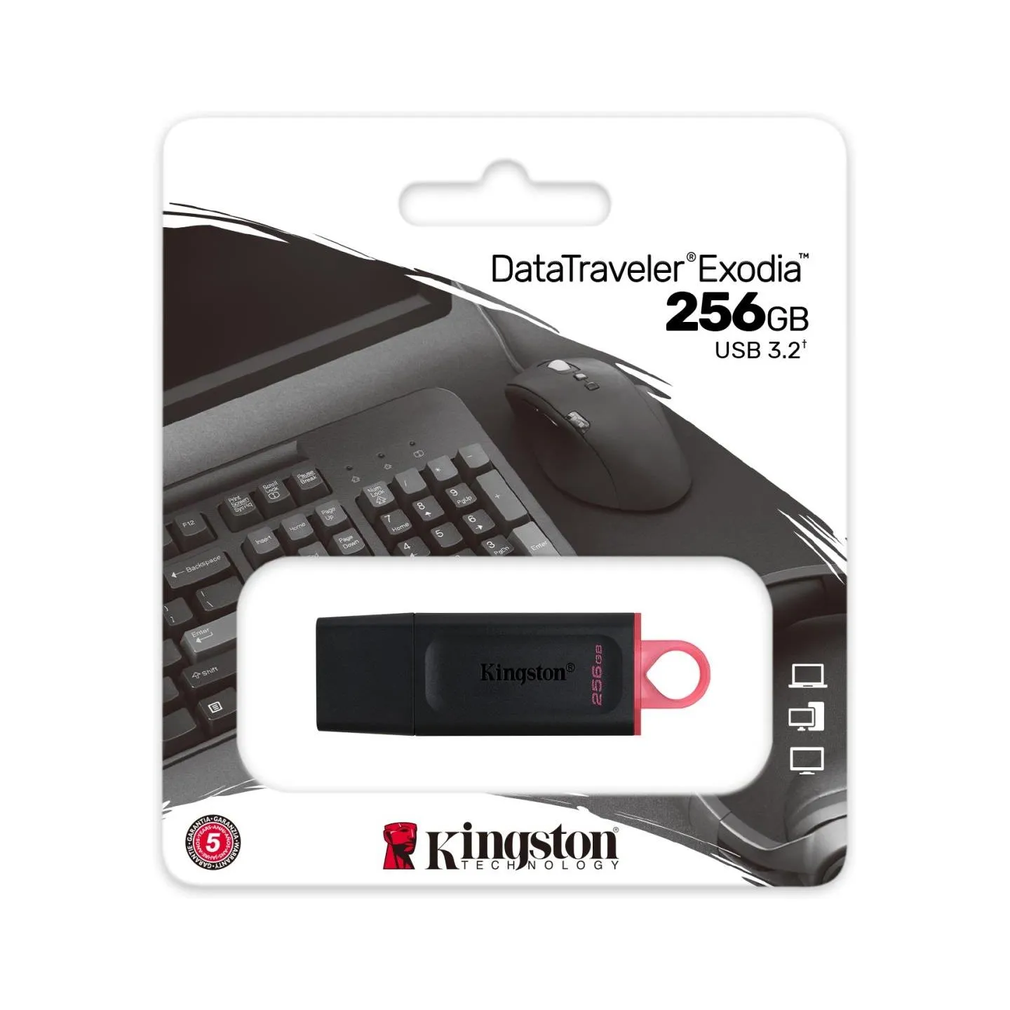 Kingston 256GB USB3.2 Gen1 DT Bk+Pink