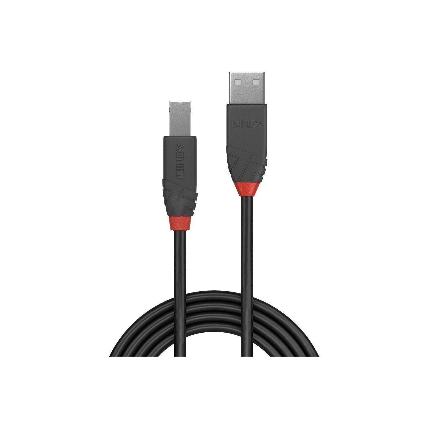 Lindy CABLE USB2 A-B 2M/ANTHRA 36673 LINDY