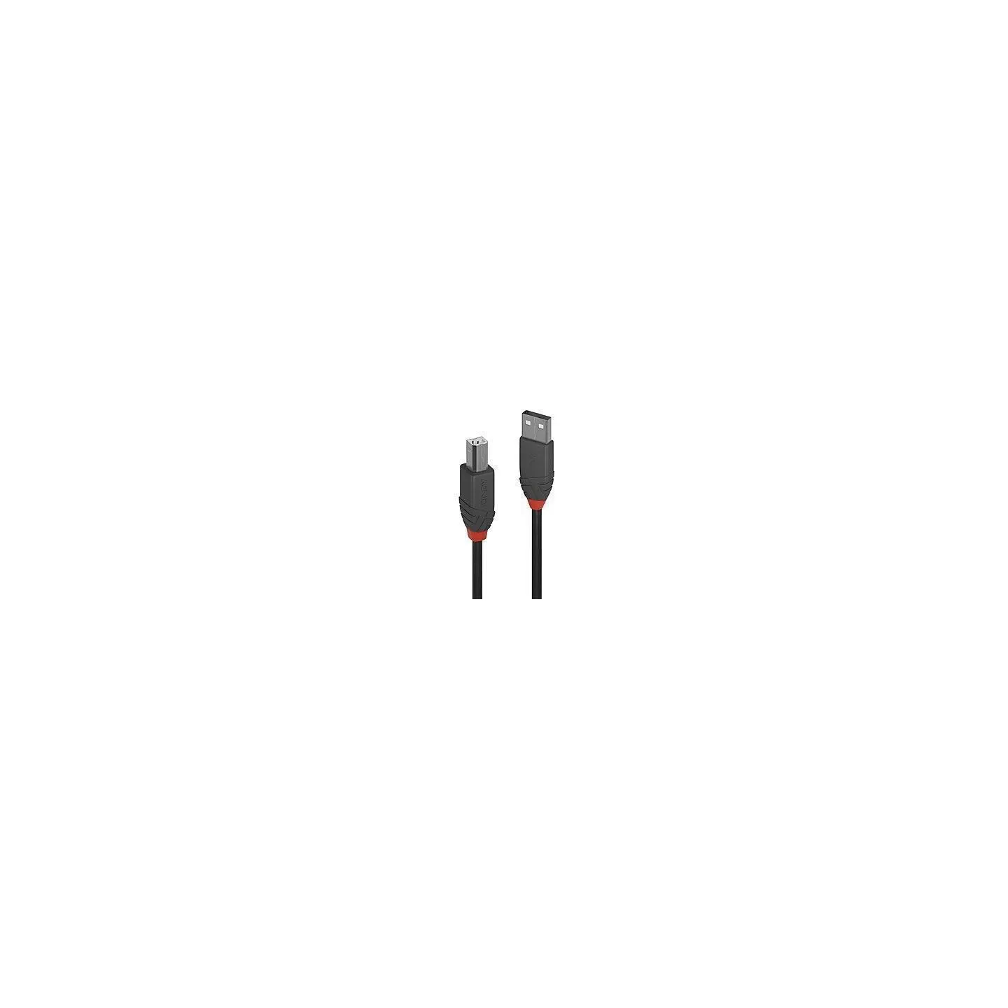 Lindy CABLE USB2 A-B 5M/ANTHRA 36675 LINDY