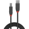 Lindy CABLE USB2 A-B 10M/ANTHRA 36677 LINDY