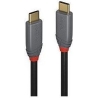 Lindy CABLE USB3.2 C-C 1M/ANTHRA 36901 LINDY