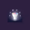 Tp-Link Smart Light Bulb|TP-LINK|Power consumption 3.7 Watts|Luminous flux 350 Lumen|Beam angle 40 degrees|0 ºC~ 40 ºC|TAPOL630
