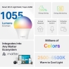 Tp-Link Smart Light Bulb|TP-LINK|Power consumption 8.6 Watts|Luminous flux 1055 Lumen|6500 K|240V|Beam angle 220 degrees|TAPOL53