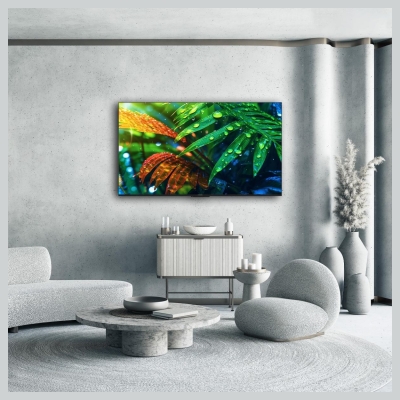 Thomson TV Set|THOMSON|55 "|4K Ultra HD|3840 x 2160 pixels|Flat|16:9|QD-Mini LED|55MG7C15