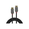 Lindy CABLE DISPLAY PORT 1M/ANTHRA 36481 LINDY