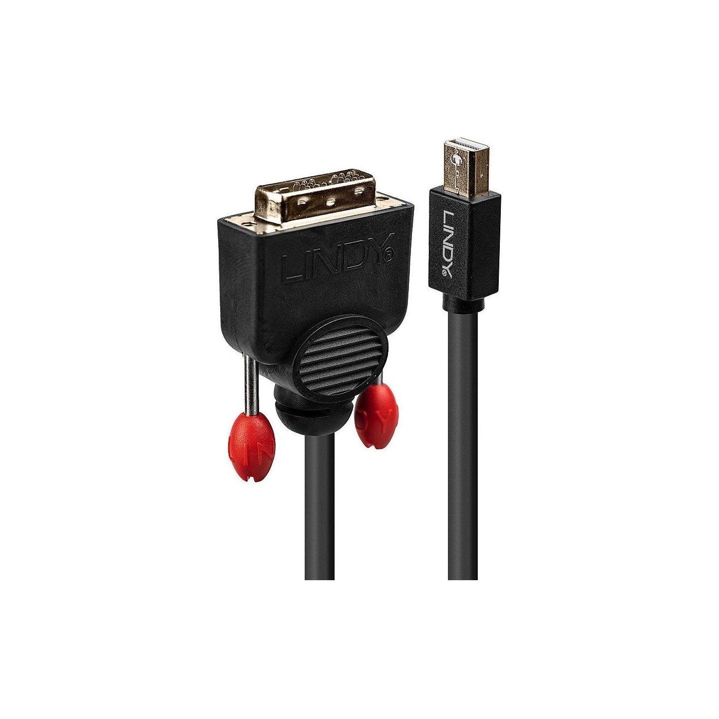 Lindy CABLE MINI DP TO DVI 3M/BLACK 41953 LINDY
