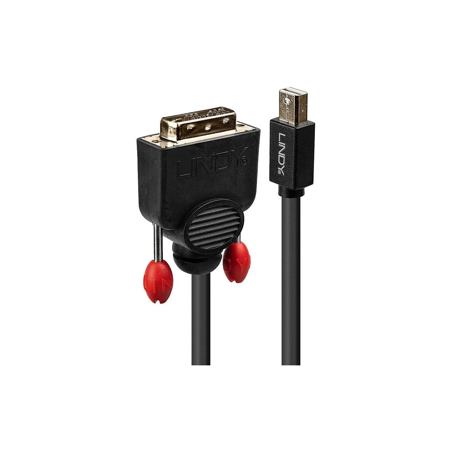 Lindy CABLE MINI DP TO DVI 3M/BLACK 41953 LINDY