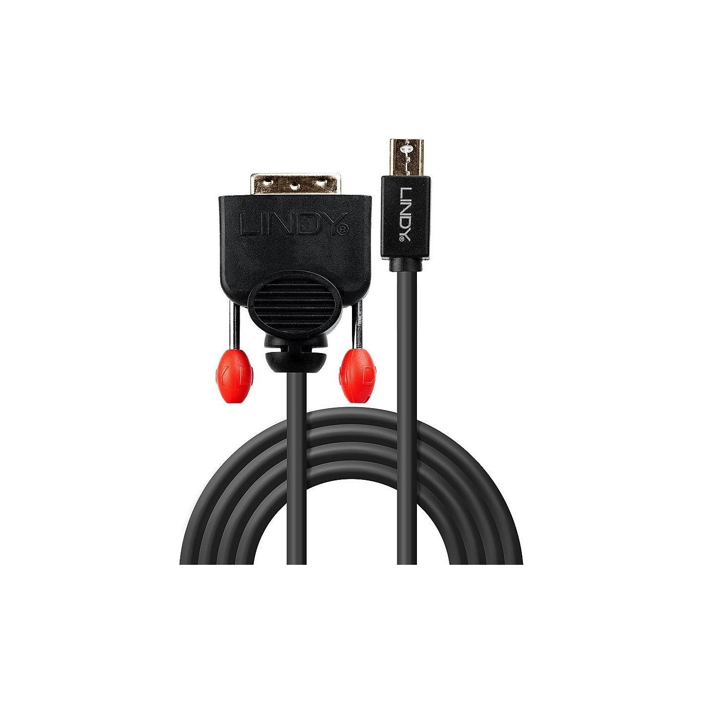 Lindy CABLE MINI DP TO DVI 3M/BLACK 41953 LINDY