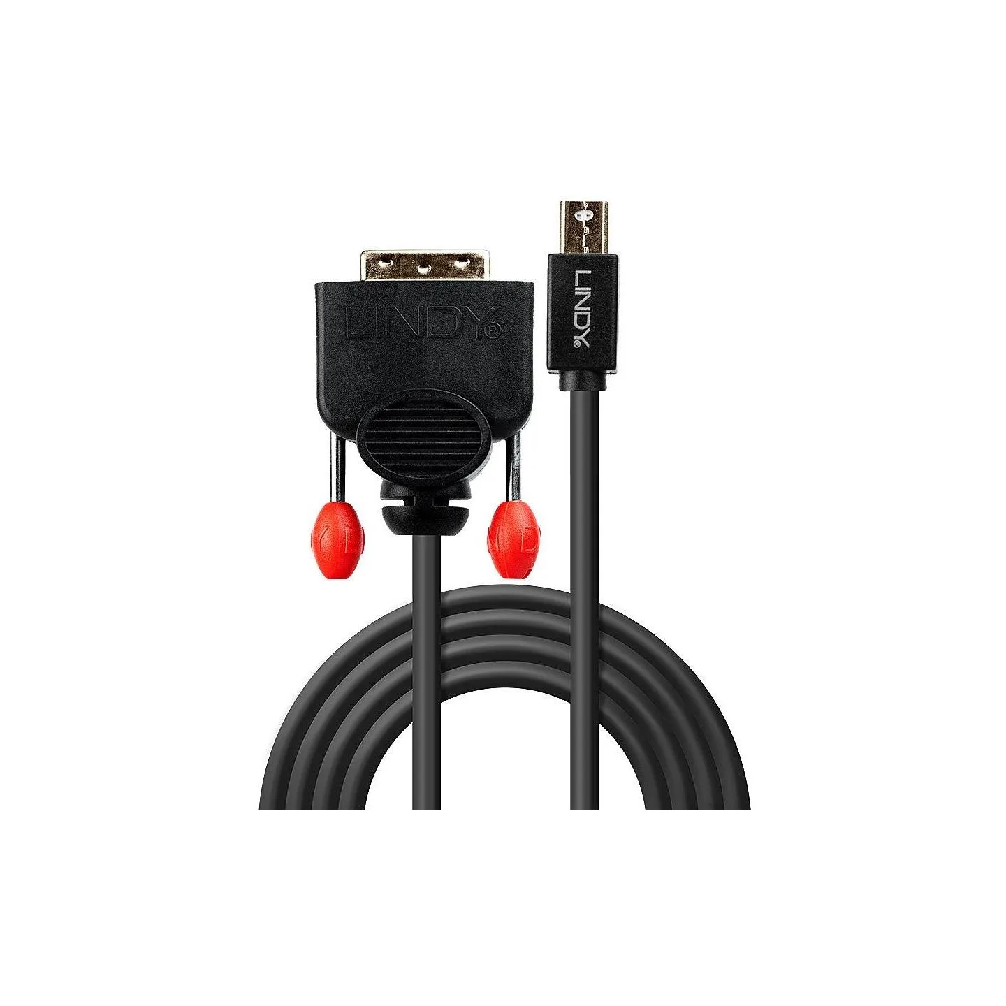 Lindy CABLE MINI DP TO DVI 3M/BLACK 41953 LINDY