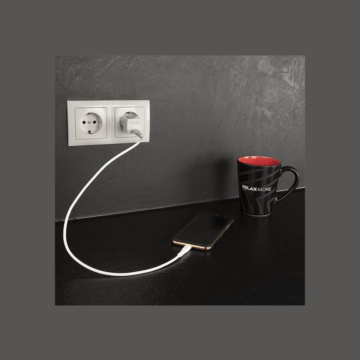 Lindy CHARGER WALL 20W/73410 LINDY