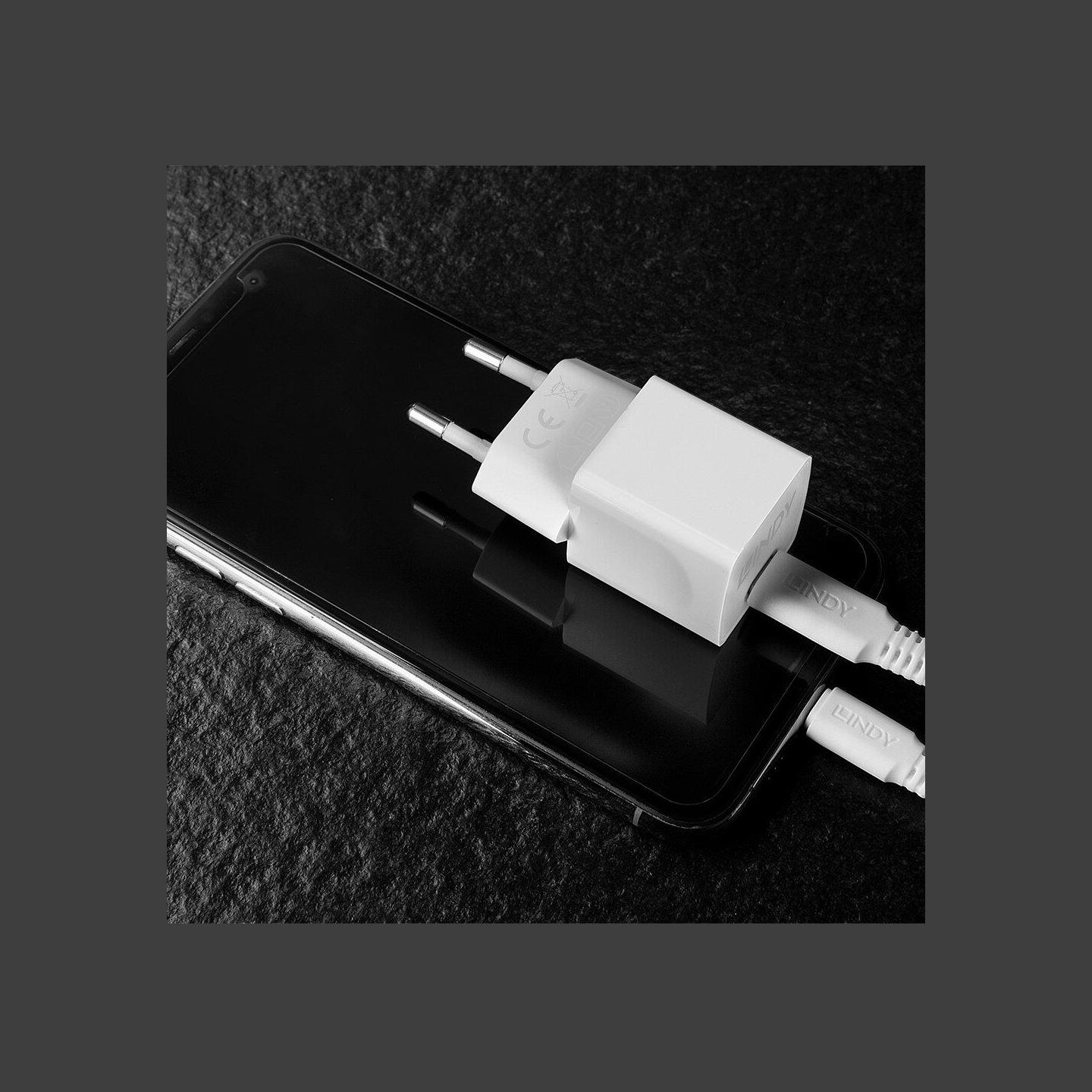 Lindy CHARGER WALL 20W/73410 LINDY