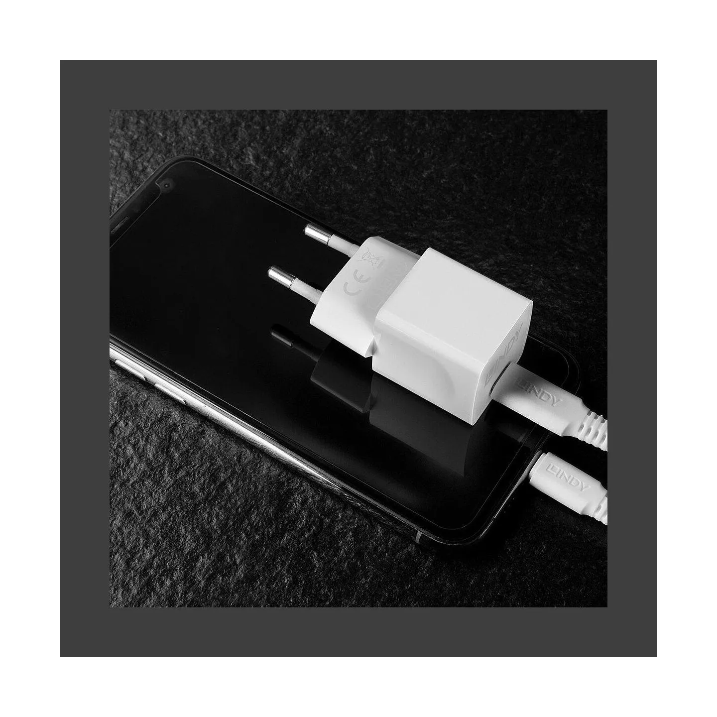 Lindy CHARGER WALL 20W/73410 LINDY
