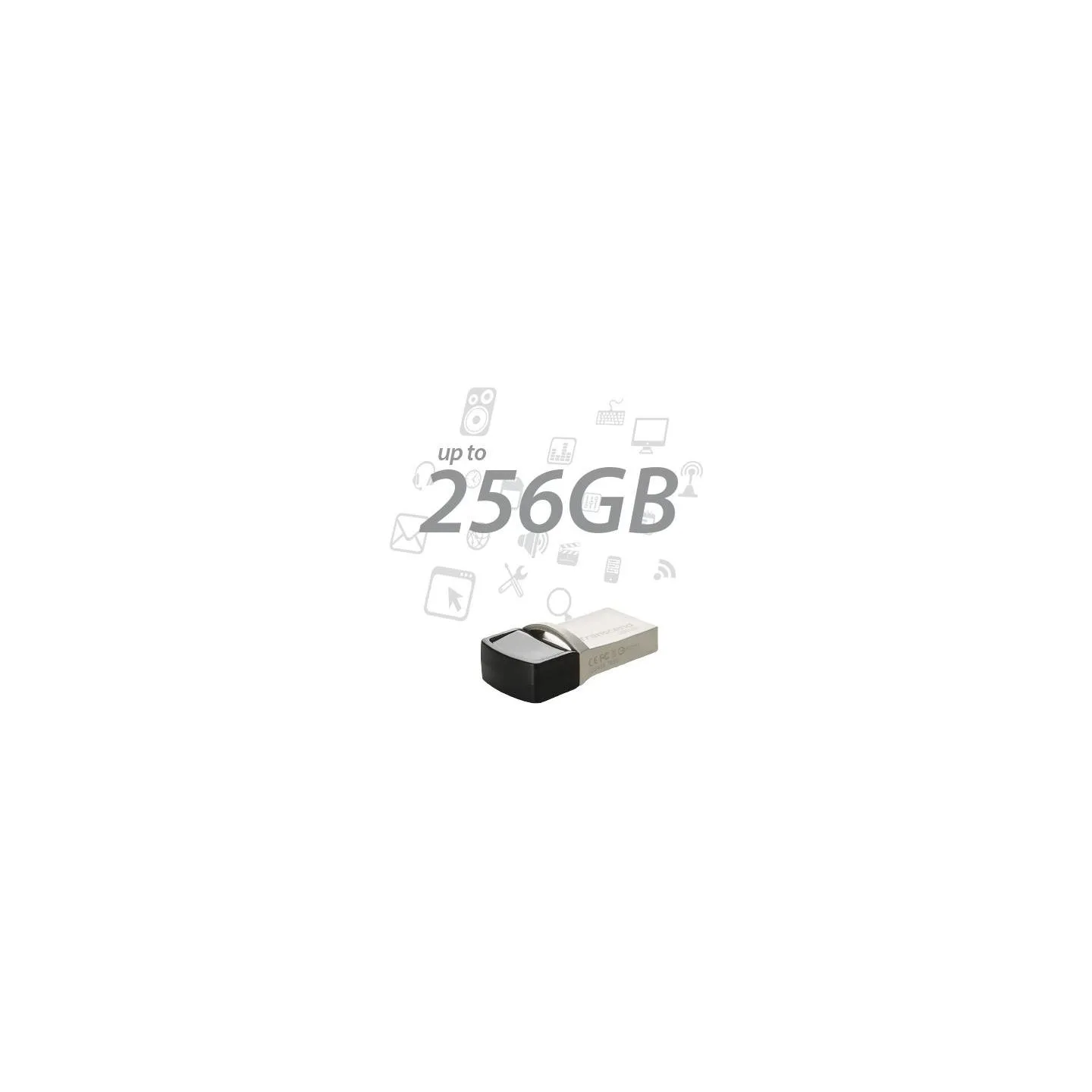 Transcend MEMORY DRIVE FLASH USB3.1/256GB TS256GJF890S TRANSCEND
