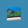Thomson TV Set|THOMSON|50 "|4K Ultra HD|3840 x 2160 pixels|Flat|16:9|LED|50UG5X15