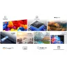 TCL TV Set|TCL|55 "|4K Ultra HD|3840 x 2160 pixels|Flat|16:9|LED|55P69K