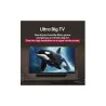 LG TV Set|LG|55"|4K/Smart|3840x2160|Wireless LAN|Bluetooth|webOS|55UA73003LA