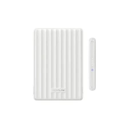 Ecoflow POWER BANK USB 5000MAH RAPID/MAG WHITE 5022801002 ECOFLOW