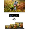 Thomson TV Set|THOMSON|65 "|4K Ultra HD|3840 x 2160 pixels|Flat|16:9|QLED|65QG6C14