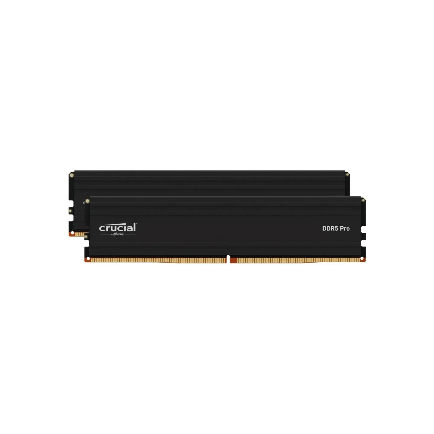 Crucial Memory DDR5 Pro 48GB/5600 (2*24GB) (24Gbit)